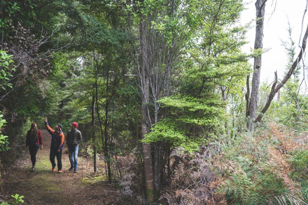 Hostel Lone Moose Backpackers Te Anau Zewnętrze zdjęcie