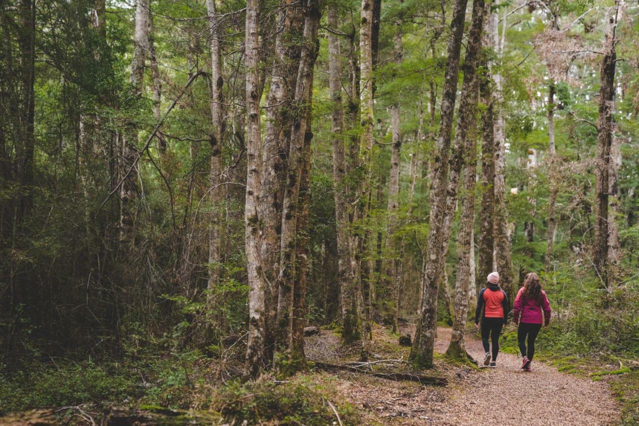 Hostel Lone Moose Backpackers Te Anau Zewnętrze zdjęcie